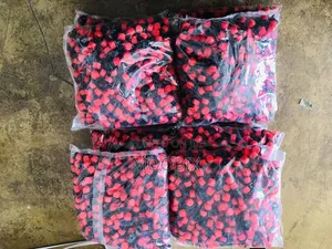Adjustable Irrigation Emitter (500pcs Pack)