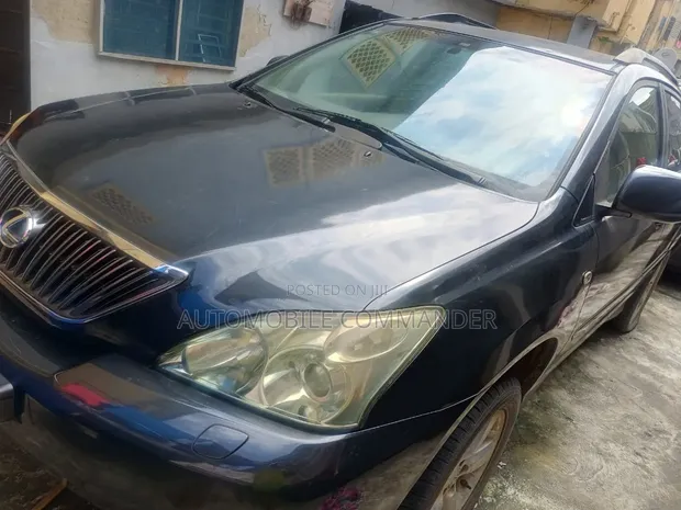 Lexus RX 330 2004 Grey - 1
