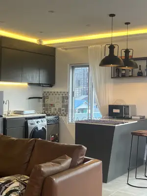 Cozy 1 Bedroom Penthouse with Private Access | Allen Avenue, Ikeja