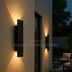 Modern Black Globe Wall Lamp