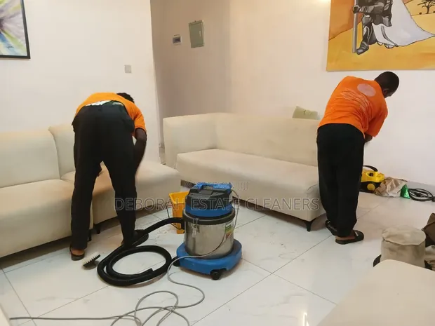 Gutter Cleaning and Sanitising Service - 1
