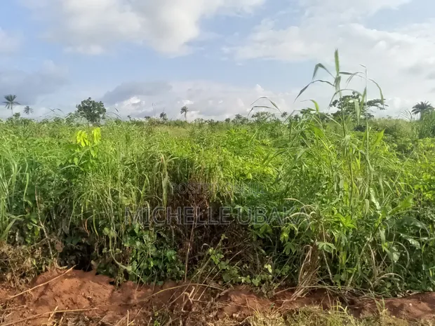 Evergreen Estate Land for Sale, Delta State - 1