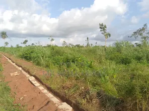 Filin Evergreen Estate Don Siyarwa, Jihar Delta