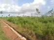 Evergreen Estate Land for Sale, Delta State - 3