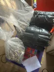 Oil Palm Seeds (Supergene & Tenera) - 4