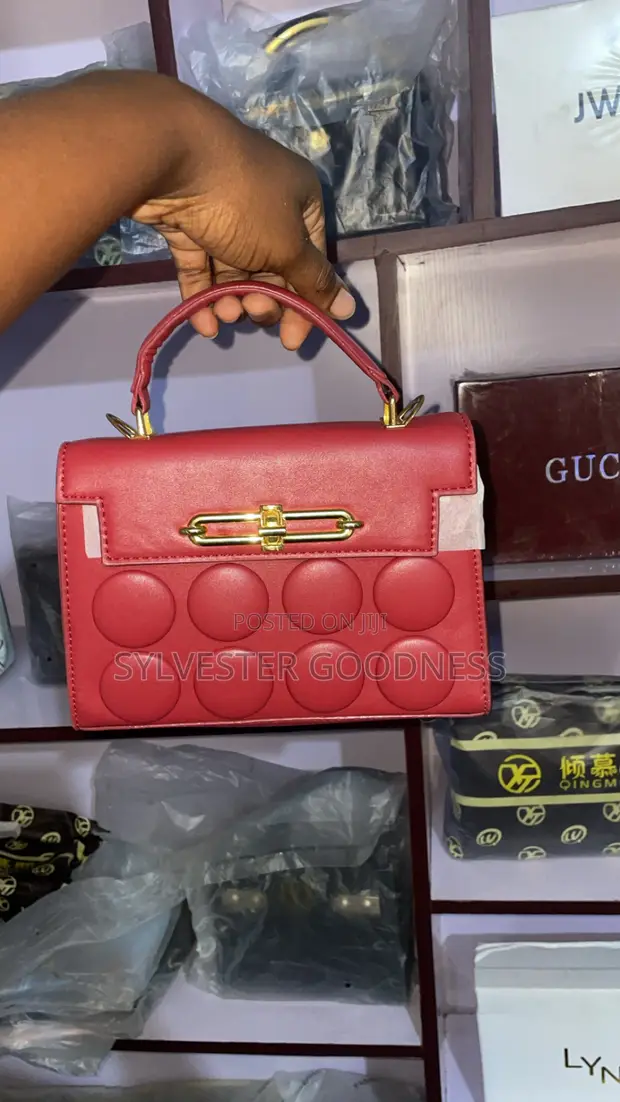 Ladies Handbag - Wine Colour - 1