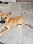 Kare Namiji Mai Cika Wata 3-6 - 2