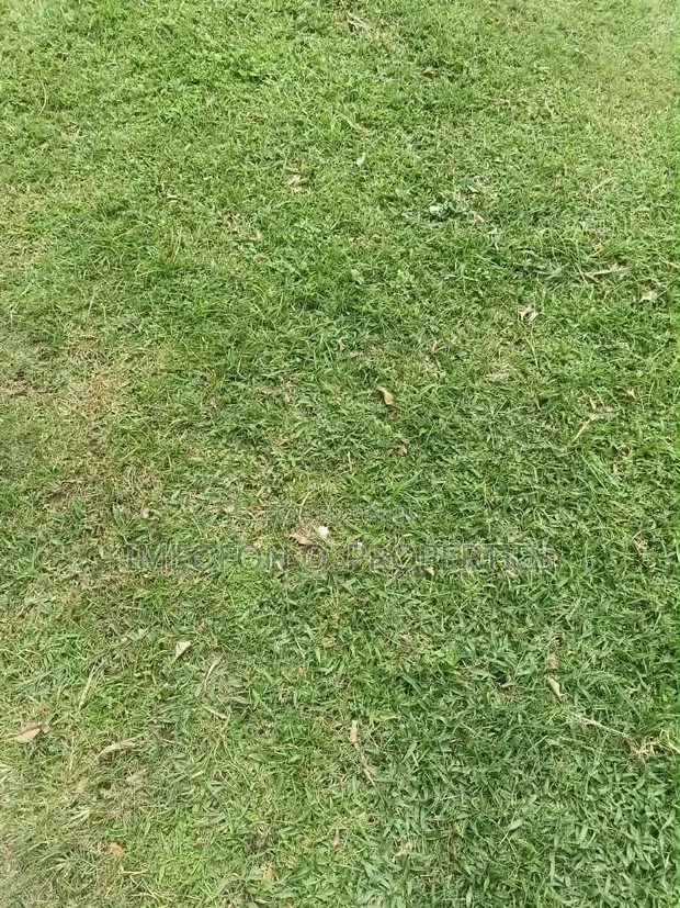Filin Kasuwanci Don Siyarwa a Gudu, Abuja - 4,100 SQM - 1