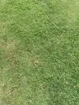Filin Kasuwanci Don Siyarwa a Gudu, Abuja - 4,100 SQM - 1
