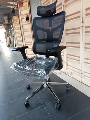 Executive Mesh Swivel Chair with Lumbar Support
