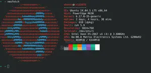 VPS Server Installation & Migration
