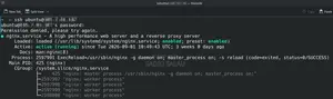 VPS Server Installation & Migration