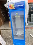 Snowsea Show Glass 500 Liters - 2