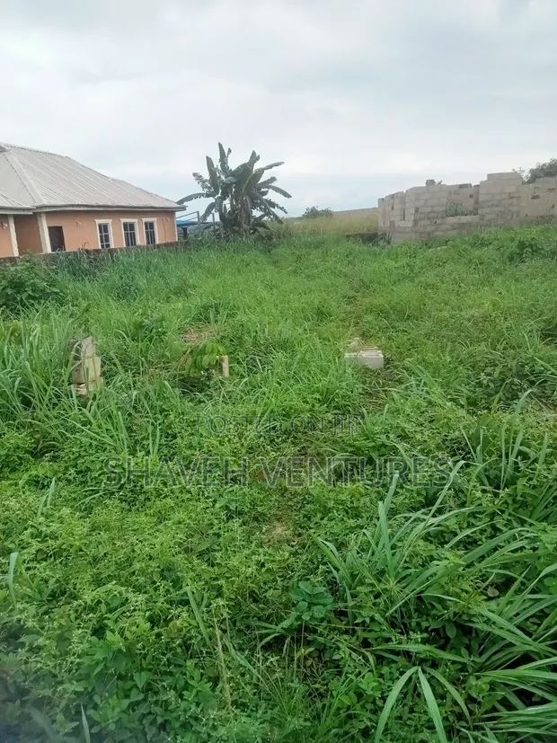 Half Plot of Land for Sale at Abiola Gasline, Cannacity - 1