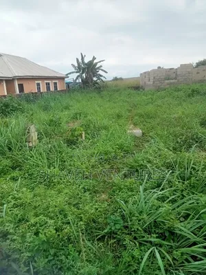 Half Plot of Land for Sale at Abiola Gasline, Cannacity