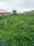 Half Plot of Land for Sale at Abiola Gasline, Cannacity - 1