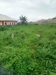 Half Plot of Land for Sale at Abiola Gasline, Cannacity - 2