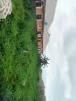 Half Plot of Land for Sale at Abiola Gasline, Cannacity - 4