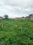Half Plot of Land for Sale at Abiola Gasline, Cannacity - 5