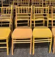 Canopy, Chair, and Decoration Rentals - 3