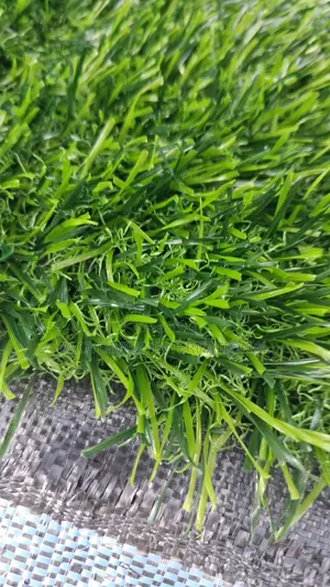 High-Quality Artificial Grass - Hard Base