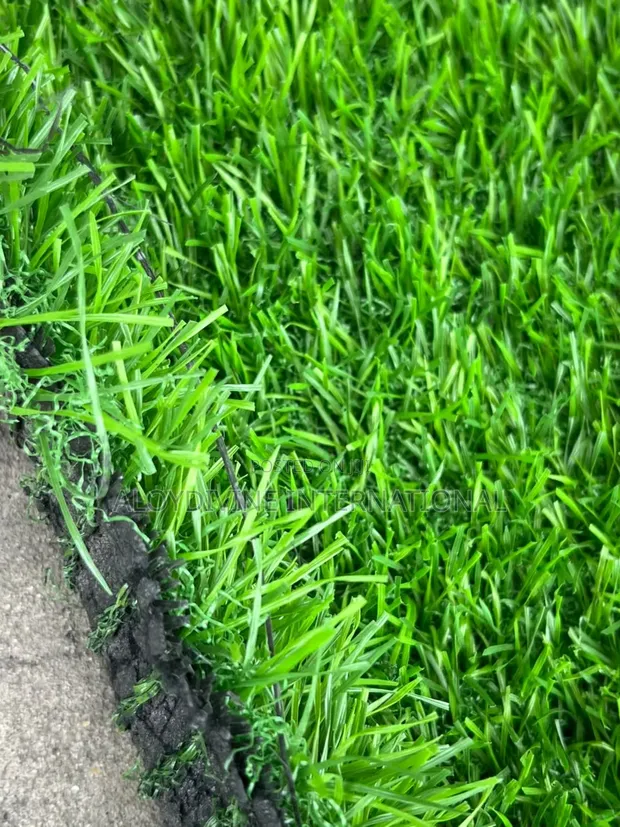 Artificial Grass Mai Inganci don Filin Wasa - 1