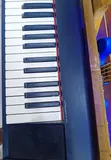 Yamaha Piaggero NP-12 Electronic Keyboard - 2