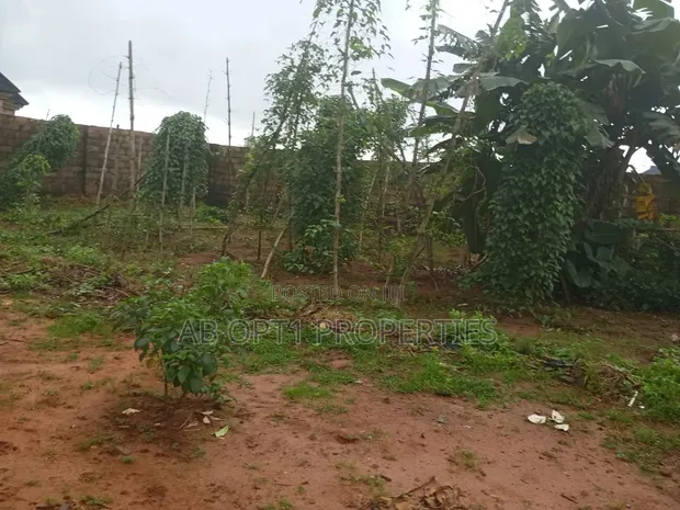 100ft x 50ft Fenced Land for Sale, Agbor Road Bypass, Iguomon - 1