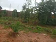 100ft x 50ft Fenced Land for Sale, Agbor Road Bypass, Iguomon - 1