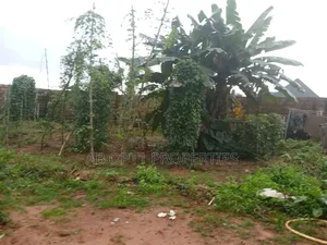 100ft x 50ft Fenced Land for Sale, Agbor Road Bypass, Iguomon