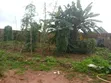 100ft x 50ft Fenced Land for Sale, Agbor Road Bypass, Iguomon - 2
