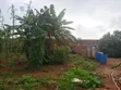 100ft x 50ft Fenced Land for Sale, Agbor Road Bypass, Iguomon - 3