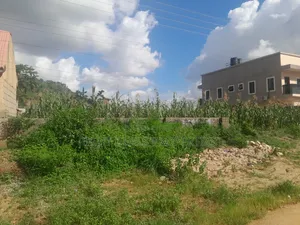 Filin FCDA 600sqm Don Siyarwa a Dawaki