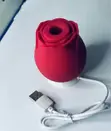 Classic Erotica Rose Vibrator - 1