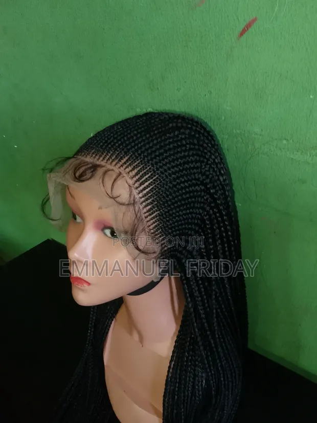 Braided Wig - 1