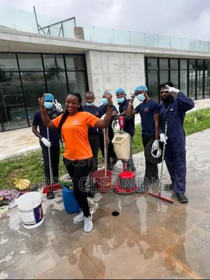 Reg Cleaning da Ayyukan Wanki a Legas