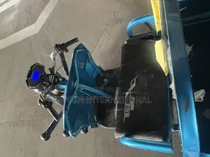 New EVAXIN Electric Cargo Tricycle 2023 Blue