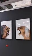 Lion Framed Art - Home Interiors - 1
