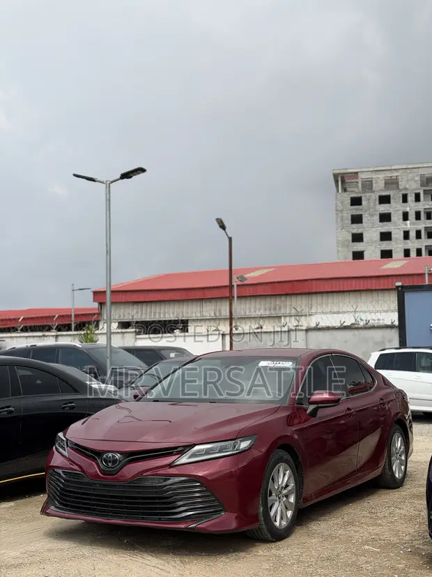 Toyota Camry 2019 Burgundy - 1
