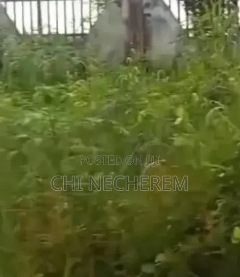 Commercial Land for Sale, Mgbakwu, Awka - 1