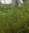 Filin Kasuwanci Don Siyarwa, Mgbakwu, Awka - 1