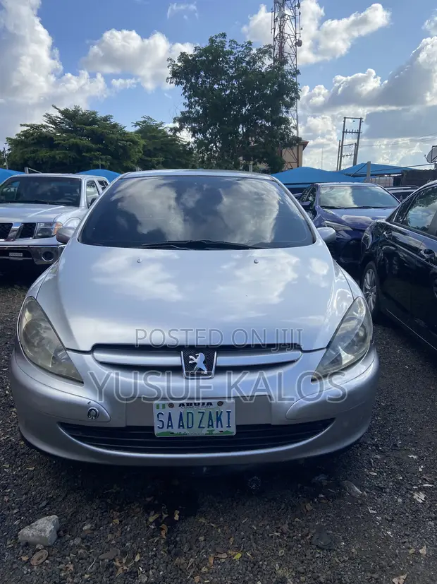 Peugeot 307 2007 Silver - 1