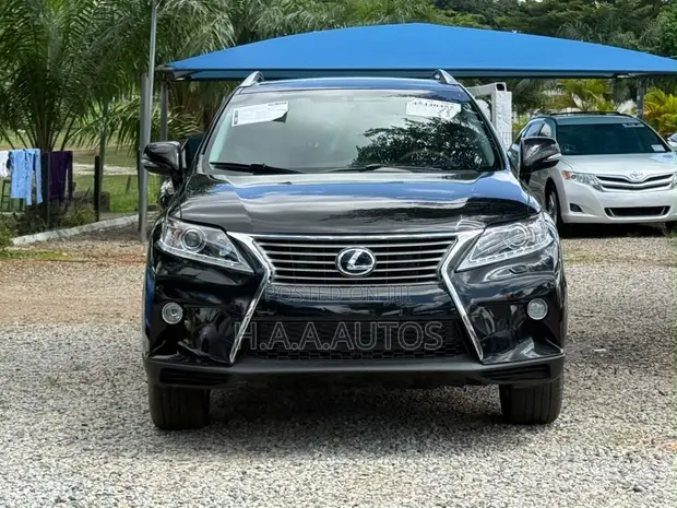 Lexus RX 350 2010 Black - 1