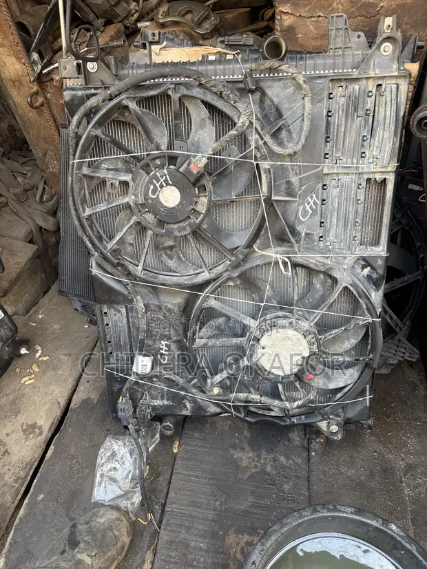 Radiator da Fan na Ford Edge (2020) - 1