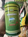 Biogenic Healthy Chinese Green Tea - Total Cleanser - 1