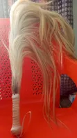 Original Horse Tail - 2