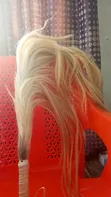 Original Horse Tail - 3