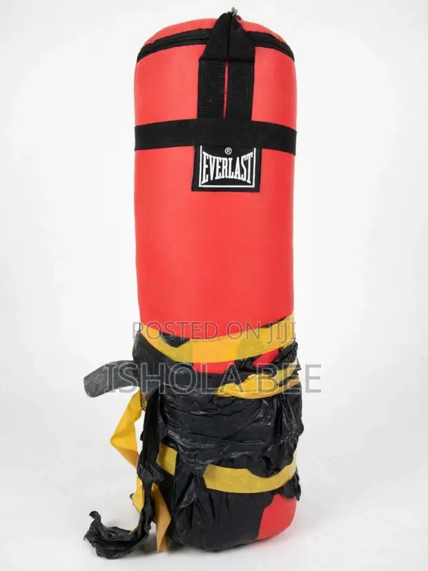 Brand New Everlast Boxing Kit: Gloves, Headgear, Focus Pads, Wraps - 1