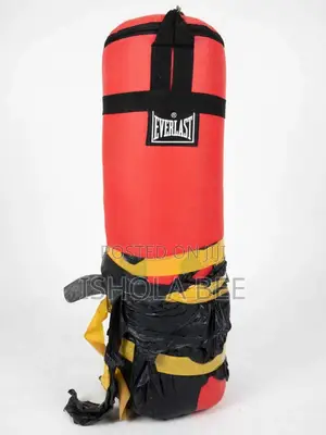 Brand New Everlast Boxing Kit: Gloves, Headgear, Focus Pads, Wraps