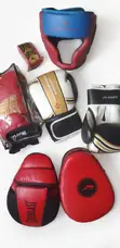 Brand New Everlast Boxing Kit: Gloves, Headgear, Focus Pads, Wraps - 2